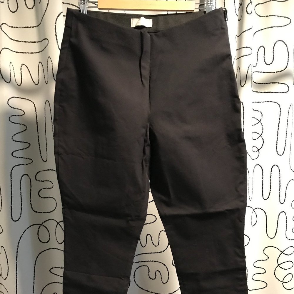 Everlane The Curvy Side-Zip Work Pant